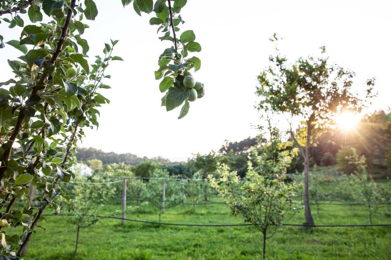 A Quinta Das Maceiras Os Casares 外观 照片