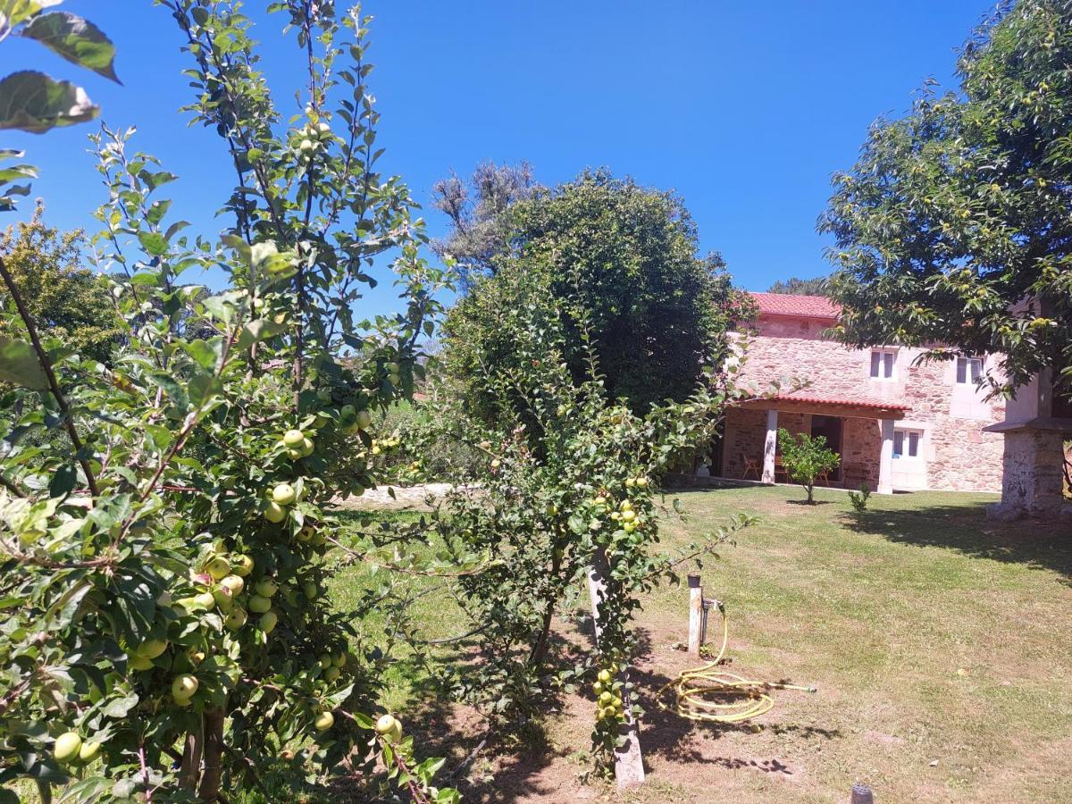 A Quinta Das Maceiras Os Casares 外观 照片