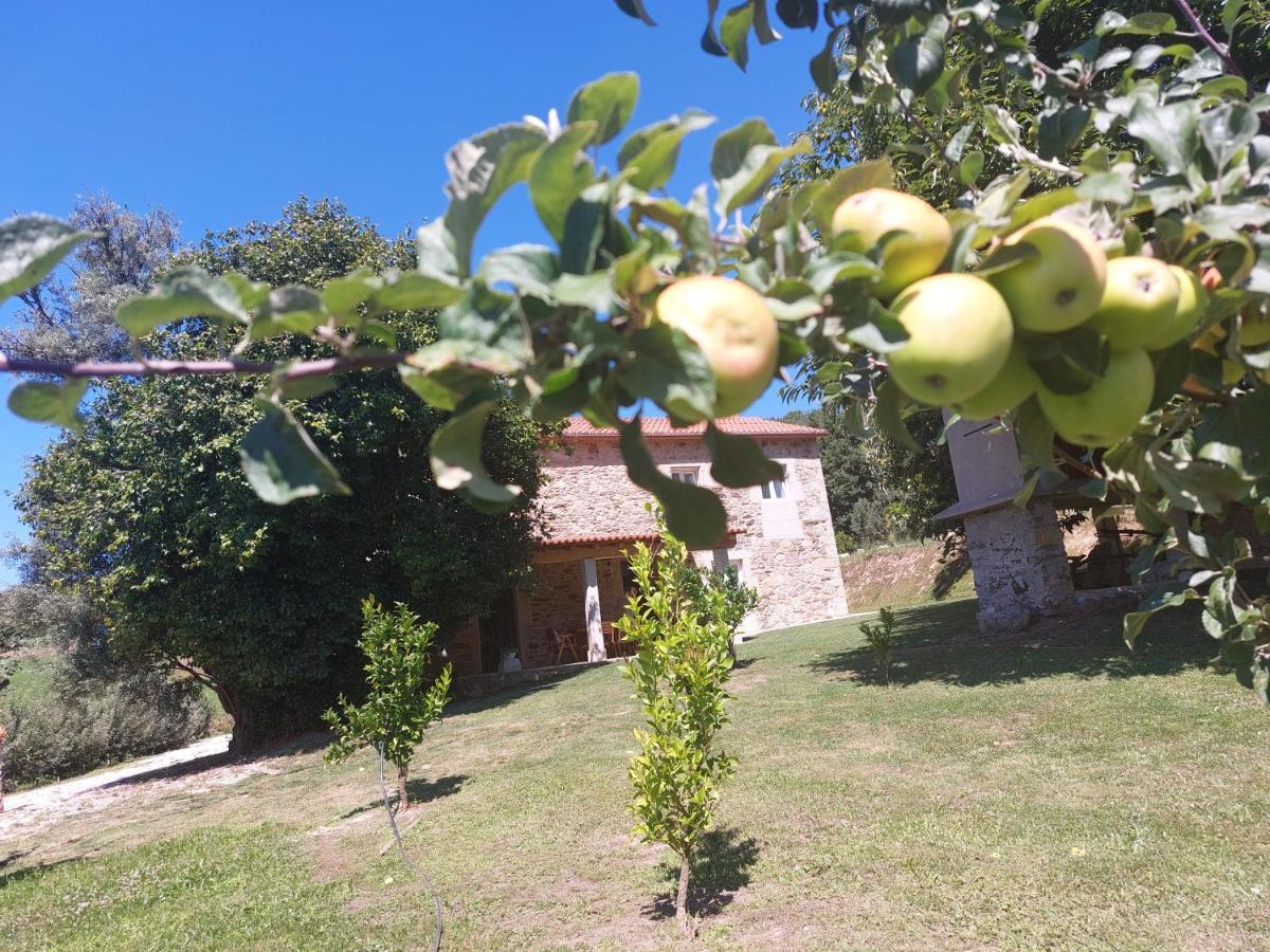 A Quinta Das Maceiras Os Casares 外观 照片