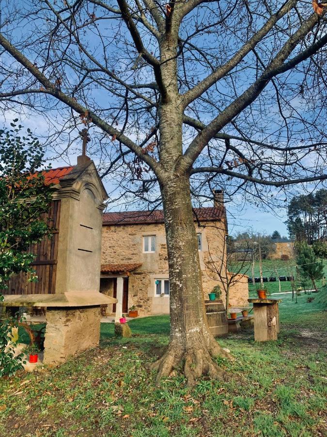A Quinta Das Maceiras Os Casares 外观 照片